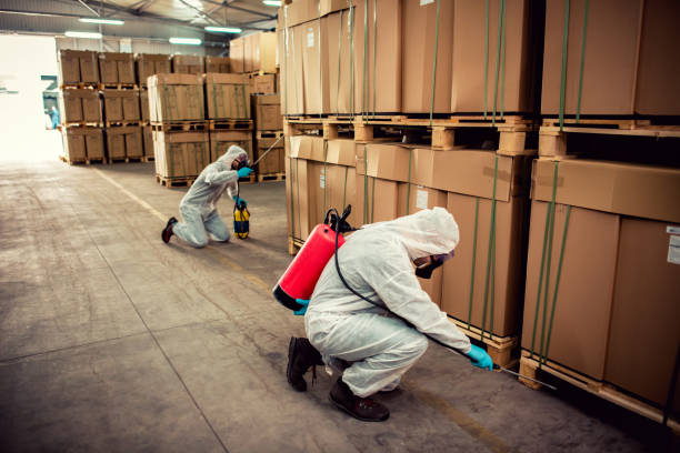 Best Wasp Removal Services  in South Taft, CA