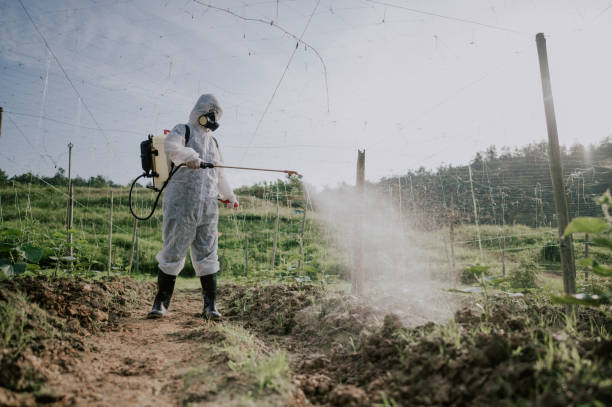Best Pest Removal Services  in South Taft, CA
